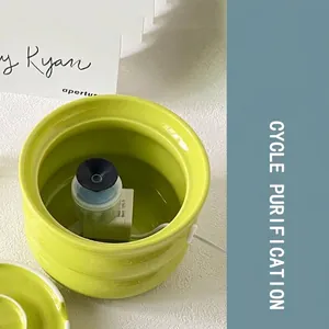 Fuente de agua automática de cerámica verde lima para gatos con filtración.