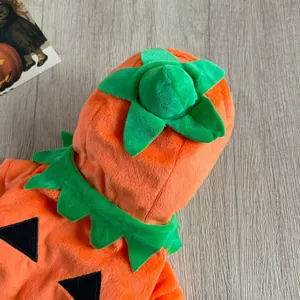 Dettaglio del costume in peluche a forma di zucca per cani con colletto verde.