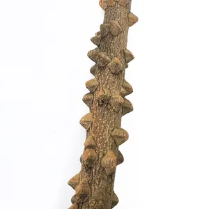 Natural prickly ash wood bird perch for parrot claw grinding and standing accessory