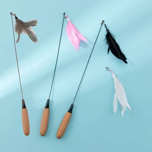 Multiple cat teaser wands with premium wooden handles and colorful feather attachments