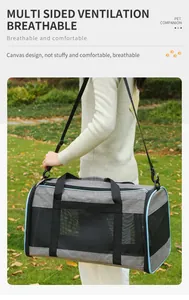 Sac de transport gris pour animaux avec filet respirant porté à l'épaule en plein air
