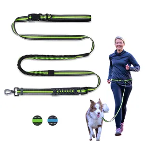 Close-up detail showing the reflective nylon texture and bungee expansion of the leash