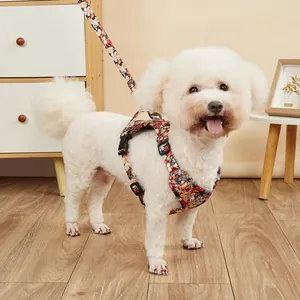 Floral pattern dog harness and leash set on a white Bichon Frise in a home setting