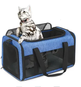 Vue détaillée d'un sac de transport bleu respirant pour animaux avec un chat au sommet