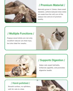 Natural silvervine cat toy ball showing material texture and health benefits for cats