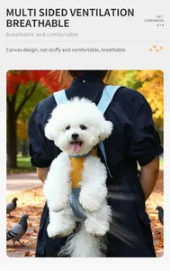 Primer plano de un perro blanco esponjoso en una mochila transportadora de lona azul fresca
