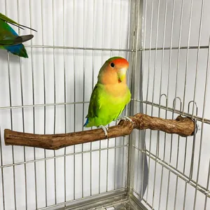 Natürliche Vogelstange aus Rebholz im Käfig mit einem bunten Unzertrennlichen