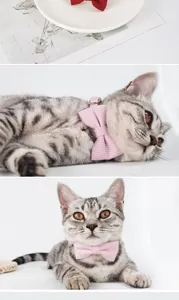 Detailed close-up of a grey tabby cat wearing a pink checkered pet bow tie collar accessory