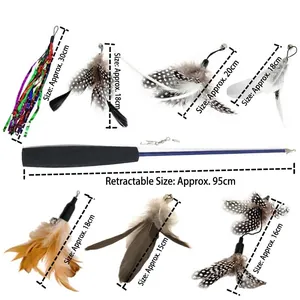 Retractable Cat Teaser Wand Set With Multiple Feather Replacement Heads Bell Interactive Fishing Pole Wand Toy For Kittens Cats Indoor Exercise