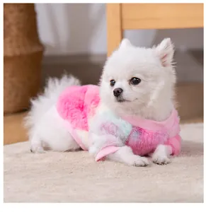 Dettaglio di un cane bianco con un maglione colorato tie-dye in pile per animali