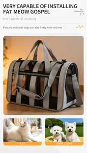 Large breathable mesh pet carrier bag with adjustable strap for cats and small dogs