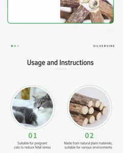 Natural silvervine sticks for cats: usage guide and safety instructions for pet health.