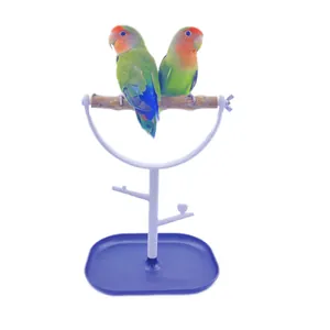 Parrot standing rack with natural wooden perch and purple base tray for bird training