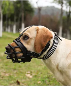 Detalle de un bozal reflectante negro en un perro golden retriever en el parque verde