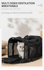 Detail eines atmungsaktiven Katzen-Transportkorbs mit großen Belüftungsnetzen
