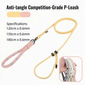 Professional dog P-leash specs: 0.6mm thickness, available in 120-180cm lengths