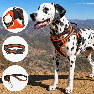 Detail view of orange reflective dog harness vest collar and leash set on Dalmatian