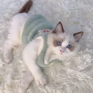 Gros plan d'un chat portant un gilet en peluche vert doux sur un tapis blanc.