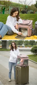 Large pink foldable pet carrier backpack for cats and dogs in park and travel scenes