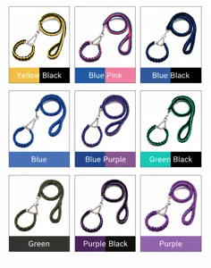 Durable eight-strand braided nylon dog leash and collar set in nine vibrant color options