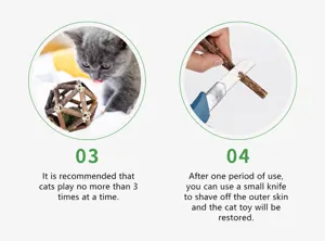 Maintenance guide for natural silvervine cat toy ball with usage and care tips