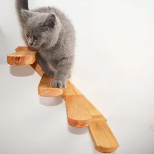 Primo piano di un gattino grigio che cammina su una scala a muro in legno per gatti