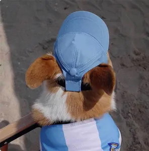 Kleiner Hund mit hellblauer verstellbarer Sonnenschutz-Baseballkappe mit Ohrlöchern