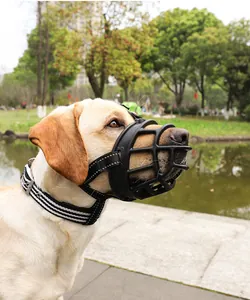 Primer plano de un bozal negro con correas reflectantes en un Labrador amarillo