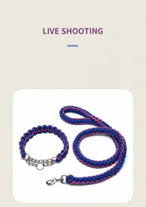Detail view of blue and purple braided nylon dog collar and leash set with metal hardware