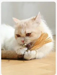 Detail of fluffy cat chewing on large silvervine stick with raffia and gall fruit.