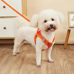 Reflective orange vest-style dog harness and leash set for small to medium pet dogs