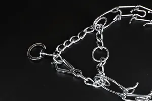 Detailansicht eines robusten Metall-Hundetrainingshalsbands mit einem Schnellverschluss
