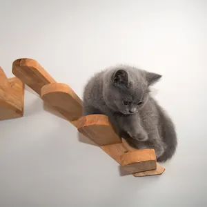 Dettaglio dei gradini da arrampicata a parete in legno massiccio per gatti con gattino