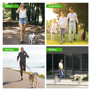 Scenario display of the hands-free reflective dog leash for running and hiking.