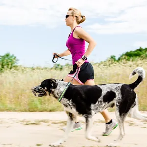 Actiebeeld van een reflecterende nylon hondenriem en halsbandset tijdens joggen
