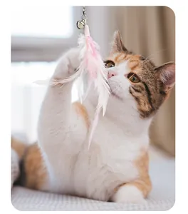 Gatito juguetón interactuando con un juguete de plumas rosas y blancas con cascabel.