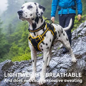 Outdoor dog harness vest shown in use on a mountain trail during a hike with Dalmatian