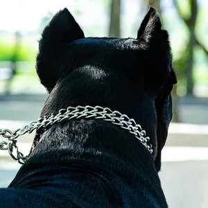 High-quality stainless steel P-chain dog collar for large dogs in outdoor setting