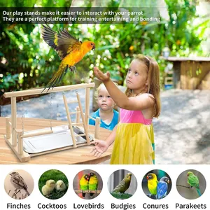 Wooden bird play stand with ladder and swing for training parrots and small birds