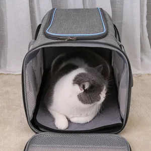 Detailed view of a grey washable and absorbent pet mat inside a breathable mesh carrier