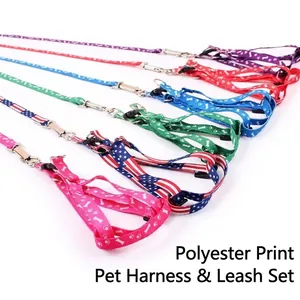 Colorful printed polyester pet harness and leash set for small dogs and cats, multiple patterns