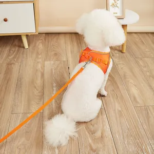 Reflective orange dog harness and leash set for small to large pets in home setting