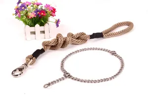 Macro view of stainless steel P-chain dog collar with gold braided rope leash set