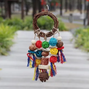 Detailed macro view of colorful parrot chew toy with natural vine ring and pinecone texture.