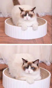 Macro view of a circular corrugated cat scratcher bowl with a cat resting inside
