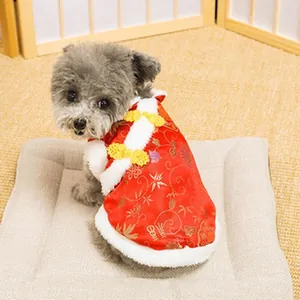 Small grey poodle wearing a festive red Chinese Tang suit pet outfit on a white pad