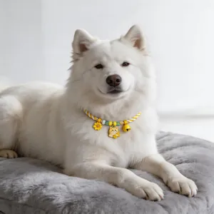 Close-up of a white dog wearing a yellow woven pet collar with cartoon cat and flower charms.