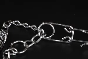Makroansicht eines silbernen Hundetrainingshalsbandes mit Details zu Gliedern und Clips