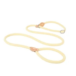 Detail view of thickened cream-colored nylon slip lead leash for dogs