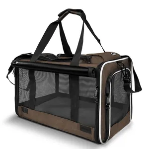 Portable breathable foldable pet carrier bag for small dogs and cats with mesh windows